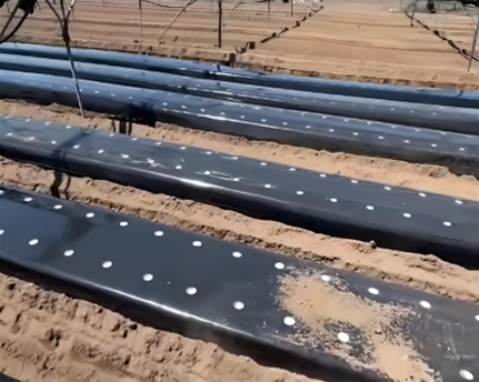 PBAT降解地膜/0.015MMX1M